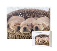 Labradors Little Puppies Golden Retriever,500 Pieces Wooden Jigsaw Family Game Jigsaw Puzzles for Adults Teens Home Decor