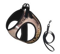 Labradors Little Puppies Golden Retriever,Pet Harness,Adjustable Reflective Dog Harness,Pet Leash Vest,M