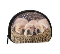 Labradors Little Puppies Golden RetrieverSmall Makeup Sanitary Napkin Storage Bag,Women's Cosmetic Coin Purse