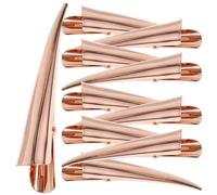 LABRIMP Large Metal Hair Clips with Lightweight Design for Styling Salon Sectioning 10pcs Protect Hair Style without Leaving Trace for Women