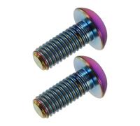 LABRIMP M5 X 12Mm Titanium Bike Screws 2 Pieces with Washers for Water Bottle Cage and Frame Attachment Suitable for Road Bikes and Motorcycles