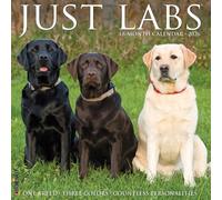 Labs 2026 12" x 12" Wall Calendar
