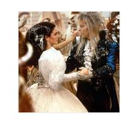 Labyrinth （19-86） Canvas Poster Bedroom Decor Landscape Office Room Decor Gift 12x12inch(30x30cm)