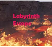 Labyrinth Escape PC Steam CD Key