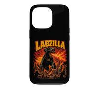 LABZILLA Fiery Black Dog in Urban Chaos Case for iPhone 13 Pro