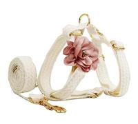 Lace Dog Harness and Leash Set - Adjustable Floral Design for Walking and Training Small to Large Dogs - Comfortable and Fashionable Harness for Outdoor Activities