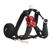 Lace Dog Harness and Leash Set - Adjustable Floral Design for Walking and Training Small to Large Dogs - Comfortable and Fashionable Harness for Outdoor Activities