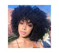 Lace Front Wig Curly Wigs Human Hair Short Wig Pixie Cut for Black Women(14inches)
