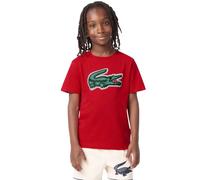 Lacoste 47072 Short Sleeve T-shirt Red 16 Years Boy