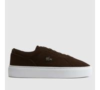 Lacoste Court Set Trainers in Brown & White UK 8 (EU 42)