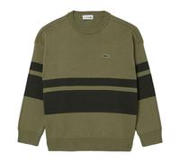Lacoste Kids Striped Sweatshirt - Green - 16 Years - Green
