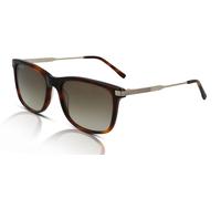 Lacoste L960S Men's Sunglasses 230 Havana/Brown Gradient