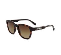 Lacoste L966S Havana 50/20/145 MAN Sunglasses