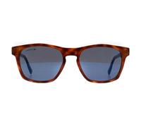 Lacoste Women's Cat Eye Tortoise Blue L988S in Brown Lacoste Brown One Size