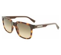 Lacoste Man L967S 230 Sunglasses Plastic Havana Brown Squared Shaded