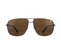 Lacoste Men's Aviator Brown Brown Gradient L162S Sunglasses Lacoste Brown One Size