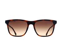 Lacoste Men's Rectangle Havana Brown Gradient L6041S Lacoste Brown One Size