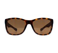 Lacoste Men's Square Havana Brown Polarized L662SP Lacoste Brown One Size