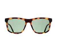 Lacoste Men's Square Tortoise Green L6025S in Brown Lacoste Brown One Size