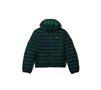 Lacoste Parkas & Men's Jackets, Sinople, S