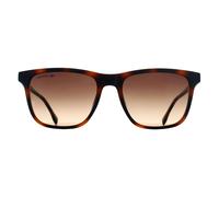 Lacoste Sunglasses L6041S 214 Havana Brown Gradient