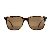 Lacoste Square Unisex Havana Brown Sunglasses - One Size