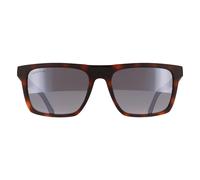 Lacoste Sunglasses L957S 230 Matte Havana Grey