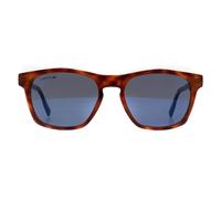 Lacoste Women's Cat Eye Tortoise Blue L988S in Brown Lacoste Brown One Size