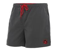 Ladeheid Men's Swimming Shorts LA40-128 (Graphite, Small)