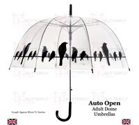 Ladies Birdcage Clear Dome Umbrella Auto Open Walking Length Transparent Brolly