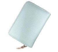 Ladies change card bag, zip storage bank card case, small portable 11 large capacity pouch, Litchi-patterned light blue, Modern Stylish