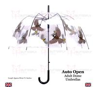 Fallen Fruits Ladies See-Through Umbrella - Its Raining Cats & Dogs