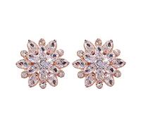 Ladies Elegant Crystal Flowers Earrings Stone Flower Stud Earrings for Girls Sensitive Ears Gorgeous Fashion Trend for Women Girls Valentine Holiday Party Gift