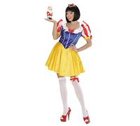 Ladies Fairyland Princess Costume Small UK 8-10 for Medieval Royalty Fancy Dress