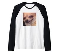 Ladies Funny Chihuahua Dog Cute Blurry Meme Raglan Baseball Tee