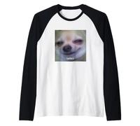 Ladies Funny Chihuahua Dog Cute Blurry Memes Raglan Baseball Tee