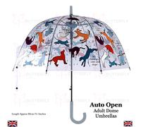 Ladies Umbrella Rain Strong Umbrella Walking Length Clear Dome Brolly Border