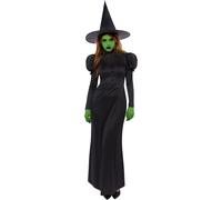 Halloween Ladies Wicked Witch Costume, One Colour, Size 8-10, Women One Colour