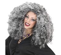 Ladies Witch In Polybag Wig for Hair Accessory Fancy Dress