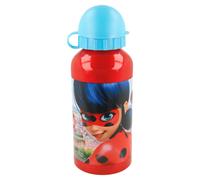 (Lady Bug, Design) Paw Patrol Aluminium Water Bottle 400ml