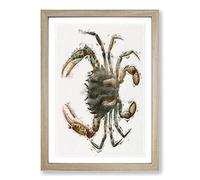Lady Crab by J.E. De Kay Framed Print | A2 Oak Framed Wall Art | Ready to Hang | Modern Animal Picture | Living Room Bedroom Lounge Office