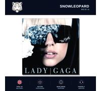 Lady Gaga The Fame Audio CD 16 Track Song Hits New Sealed UK Release Genuine
