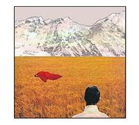 Lady Lamb - After
