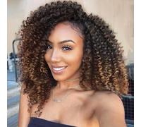 Lady Miranda Ombre Color Afro kinky Curly Braiding Hair Extensions Jerry Curl Crochet Hair 3X Braid Hair Short Synthetic Hair Styles (Black&brown)
