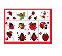 Ladybird Ladybug Collection (Ladybird Ladybug Temporary Tattoos c1)