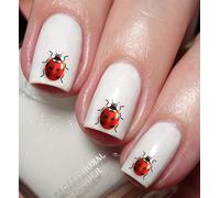 Ladybird Ladybug Lady Beetle Nail Art Decal Sticker