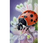Ladybird Notebook / Journal A5 (approx) hardback with artwork by Sally Sturgess: 160 lined pages, glossy hard cover, perfect gift for ladybird lovers. Supports a UK artist
