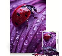 Ladybird Purple Petal Jigsaw Puzzle 1000 Piece for Adults Mind Exercise Stress Relief Family Play Birthday Idea (38x52cm)