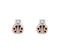 Ladybird Stud Earrings With Diamond E6433 - Classic Look |