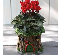 Ladybird Wonderland Planter with Red Cyclamen Gift Wrapped, 1x 9cm Pot by Thompson and Morgan